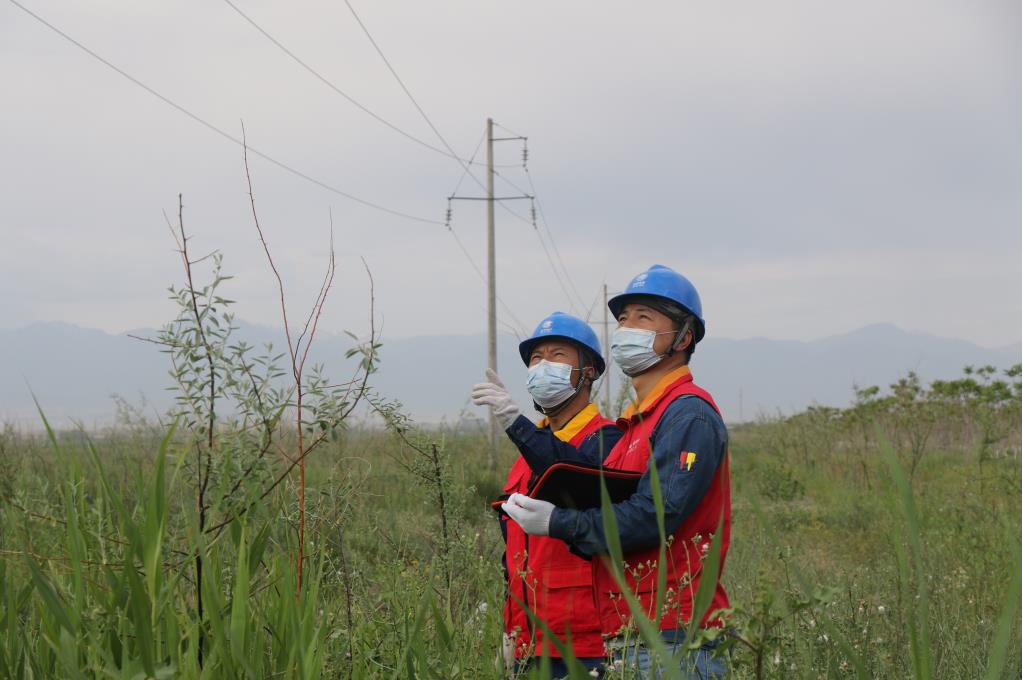 國網伊犁供電公司“綠色電”增彩“生態(tài)林”