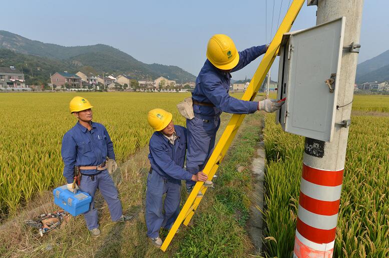 國網慈溪市供電公司紅船共產黨員服務隊服務農戶保秋收