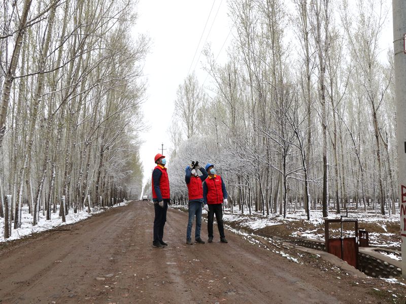 國(guó)網(wǎng)伊犁伊河供電公司四月飛雪，電力員工巡視線路保供電