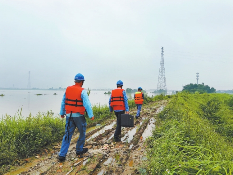 廣東佛山供電局受弱龍卷風影響的客戶已全部恢復正常供電