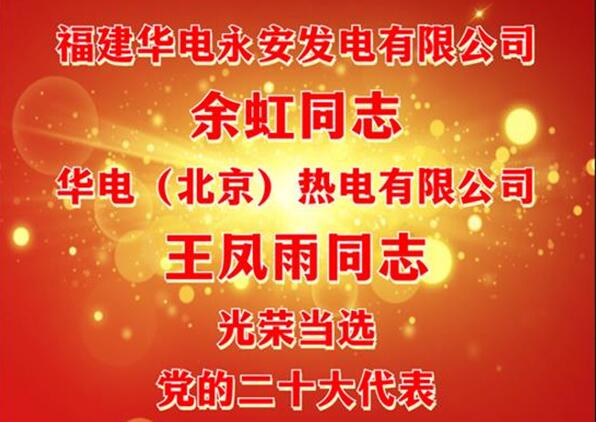 中國華電余虹、王鳳雨同志當(dāng)選黨的二十大代表