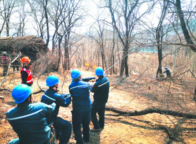 國網遼寧電力公司建成高供電可靠性示范區(qū)