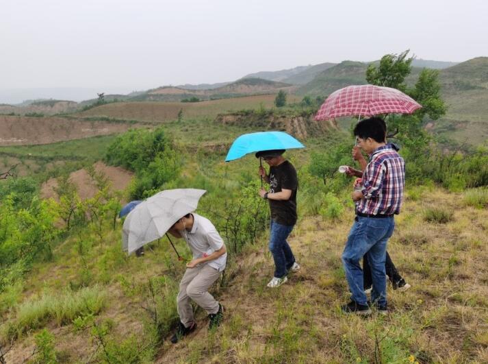 中國能建西北院隴東—山東±800千伏特高壓直流輸電工程勘察設計紀實