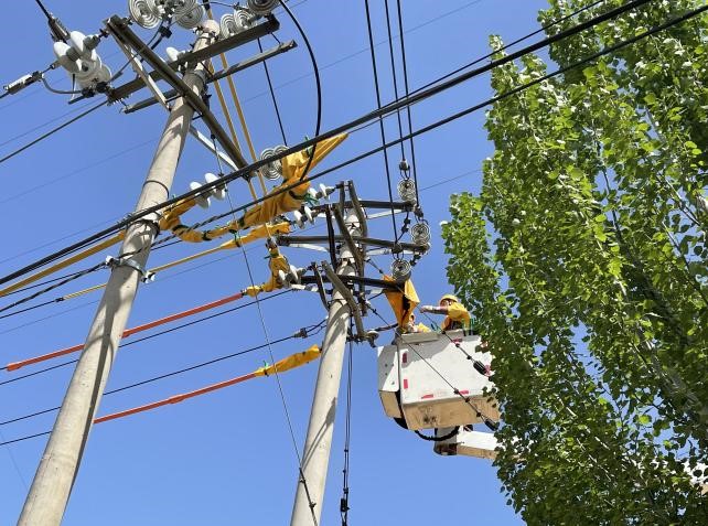 帶電作業(yè)除隱患，安全供電有保障