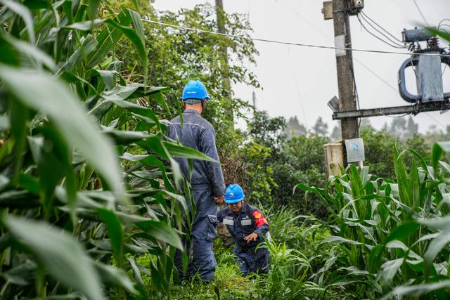 貴州獨(dú)山供電局：暴雨來(lái)襲不松懈 全力以赴保供電