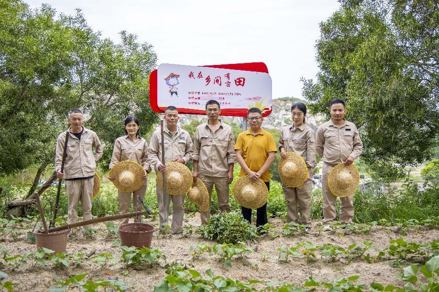 國網(wǎng)惠安縣供電公司“我在鄉(xiāng)間有畝田”喜迎豐收