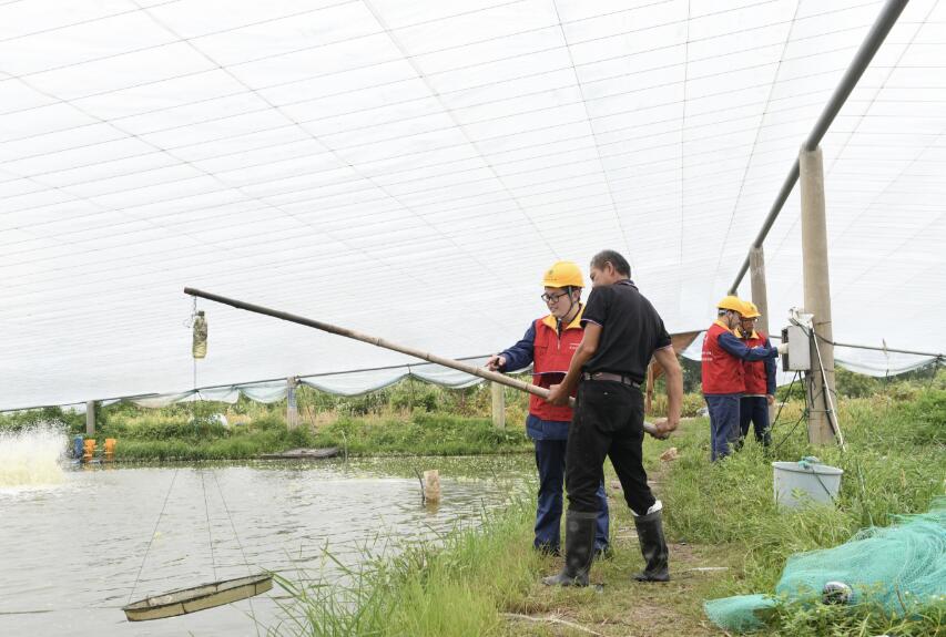 國網(wǎng)余姚市供電公司：優(yōu)質服務電滿格 水產(chǎn)養(yǎng)殖信心足