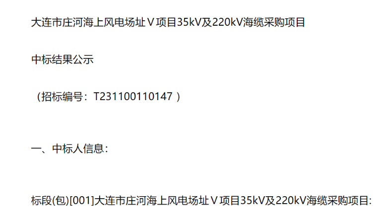 三峽能源250MW海上風(fēng)電項目中標(biāo)公示