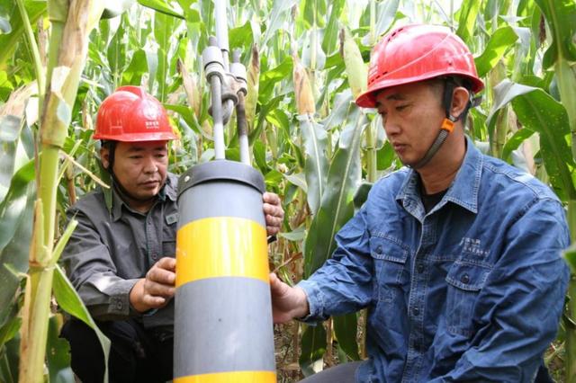 國網焦作供電公司“貼心電”助農“糧滿倉”