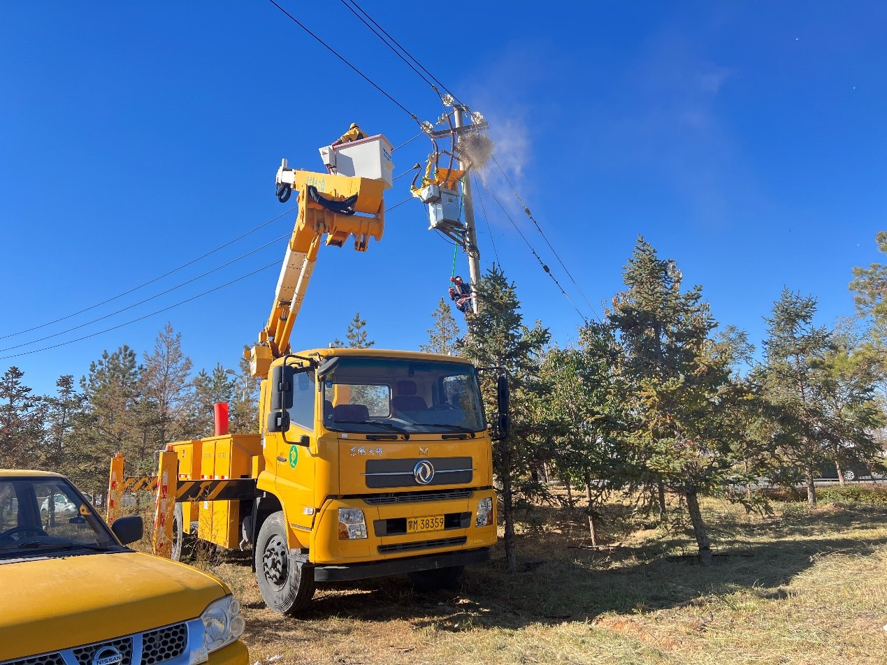 阿拉善供電公司配電帶電作業(yè)處：帶電消缺早行動(dòng) 拆除鳥(niǎo)巢線路安