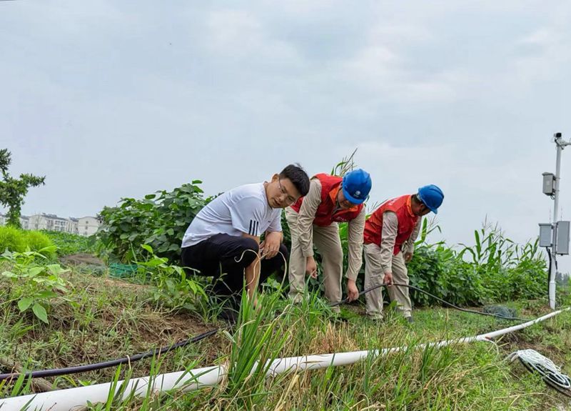 國網江蘇電力睢寧縣供電公司:電力護航不誤農時