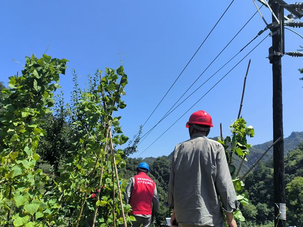 湖北竹溪供電公司暢通電力生命線 助力打贏迎峰度夏保供電攻堅(jiān)戰(zhàn)