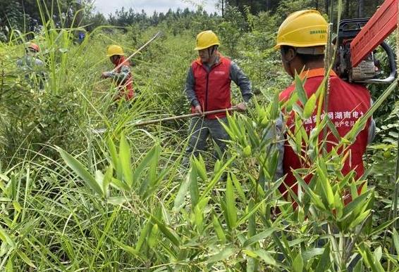 國(guó)網(wǎng)茶陵縣供電公司線路通道治理