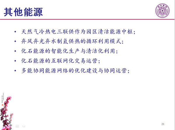 能源互聯(lián)網(wǎng)月底即將落地 專家如何解讀？